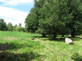Schwanenpark